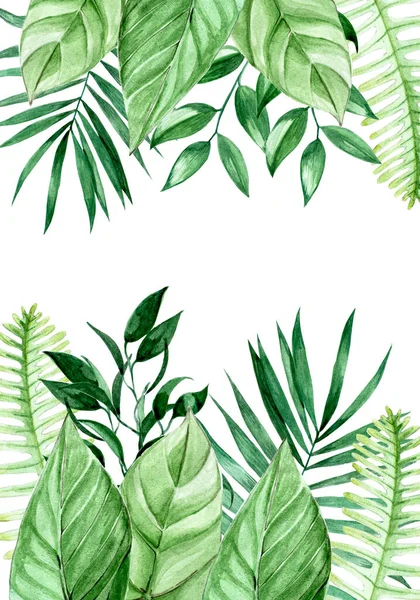 Akvarel Kresba Rám Tropickými Listy Okrajové Palmové Listy Džungle Rostliny — Stock fotografie