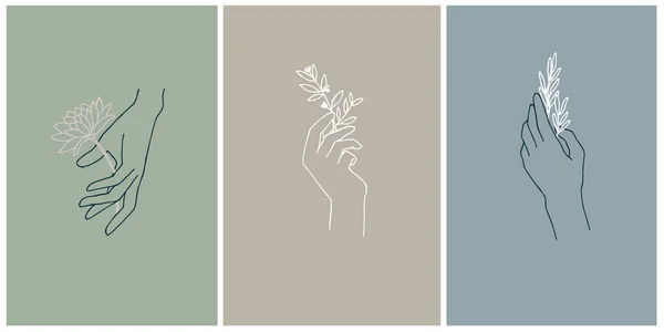 Postkartenset Handelemente Mit Kräutern Und Blumen Farbige Hintergründe Pastellfarben Mystische — Stockvektor