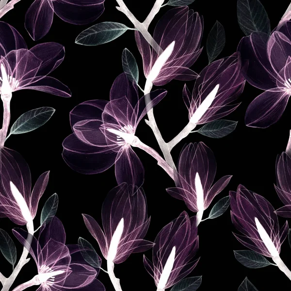 Bezešvé Vzor Transparentní Magnólie Květiny Černém Pozadí Průsvitné Růžové Květy — Stock fotografie