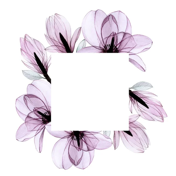Rysunek Akwarela Kwadratowa Ramka Przezroczystymi Kwiatami Magnolii Różowe Przezroczyste Kwiaty — Zdjęcie stockowe