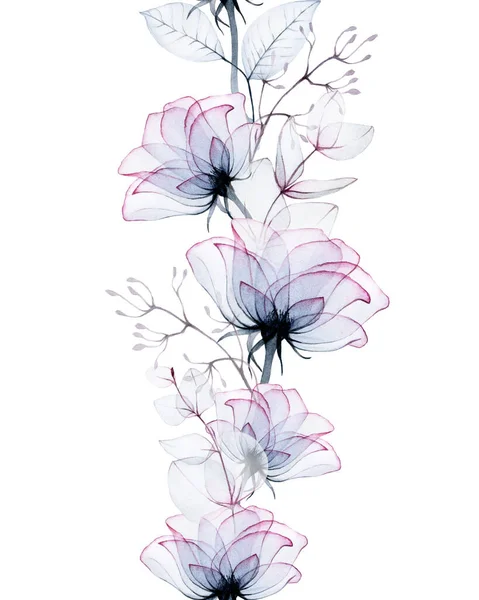 Απρόσκοπτη Υδατογραφία Περίγραμμα Της Διαφανές Τριαντάφυλλο Λουλούδια Και Ευκάλυπτος Φύλλα — Φωτογραφία Αρχείου