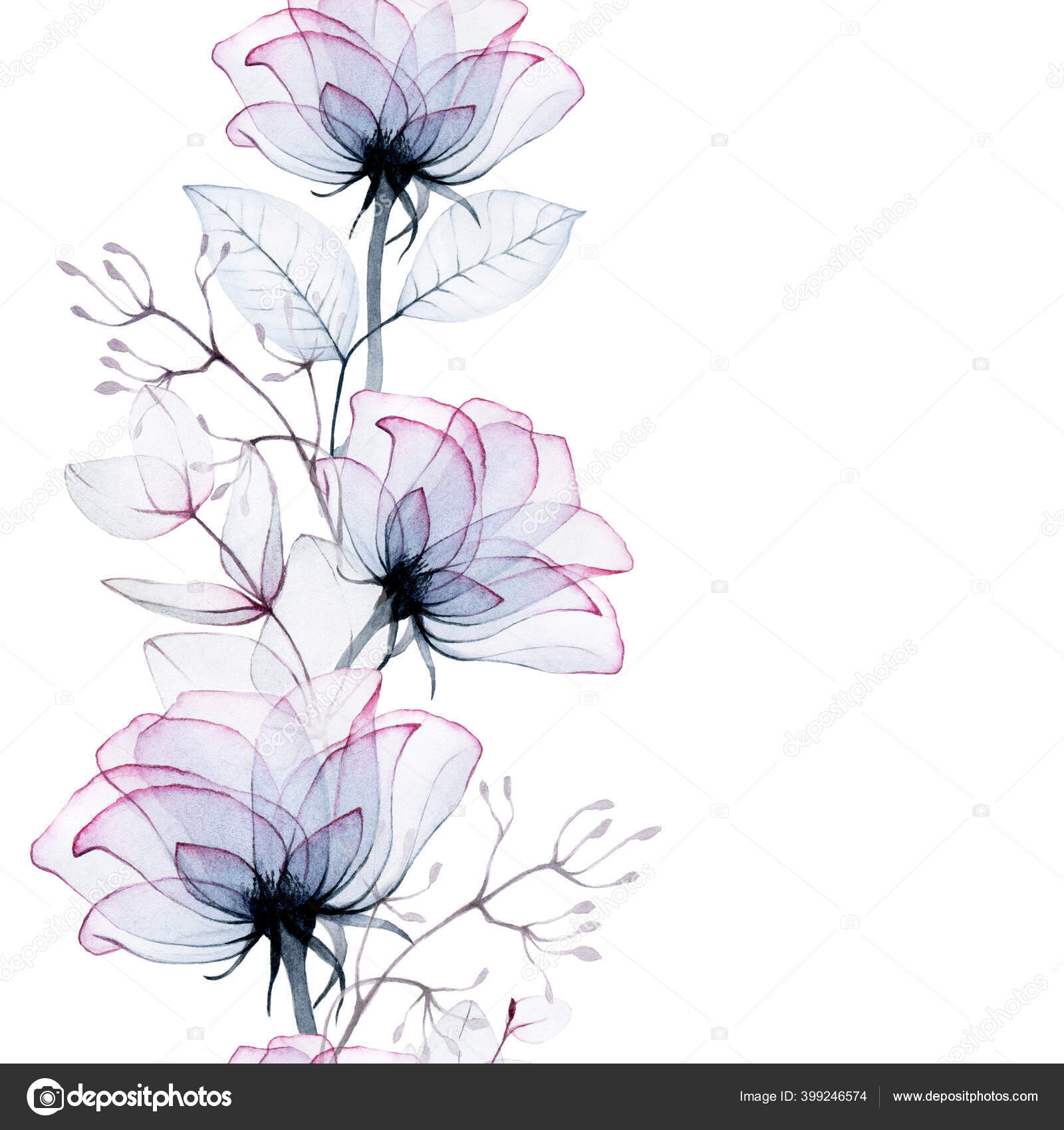 Акварельный Рисунок Бесшовная Граница Рамка Прозрачных Цветов ПрозрачныеРозовые Цветы Стоковая иллюстрация ©Odrik #399246574