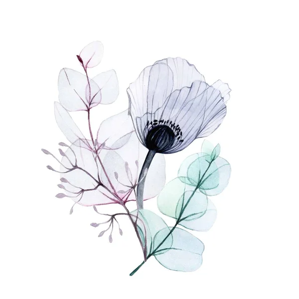 Aquareltekening Boeket Met Transparante Papaver Eucalyptusbladeren Pastelkleuren Design Element Voor — Stockfoto