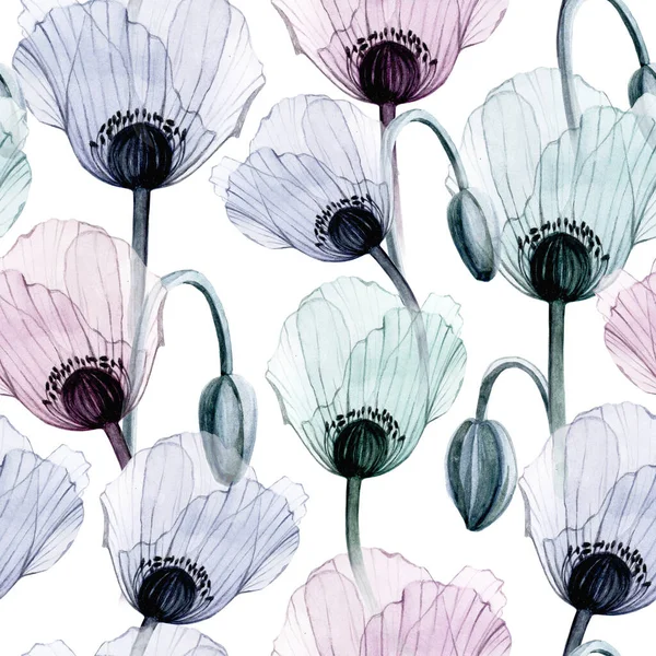 seamless watercolor pattern with transparent poppy flowers on a white background. flowers of pastel colors of blue, purple, pink. design for wallpapers, textiles, cards, weddings