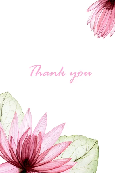 Καρέ Ακουαρέλα Διαφανή Άνθη Λωτού Διαφανή Ροζ Λουλούδια Και Φύλλα — Φωτογραφία Αρχείου