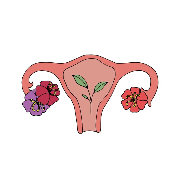Illustrazione Vettoriale Utero Femminile Fiori Simbolo Gravidanza Parto Maternità Allattamento — Vettoriale Stock