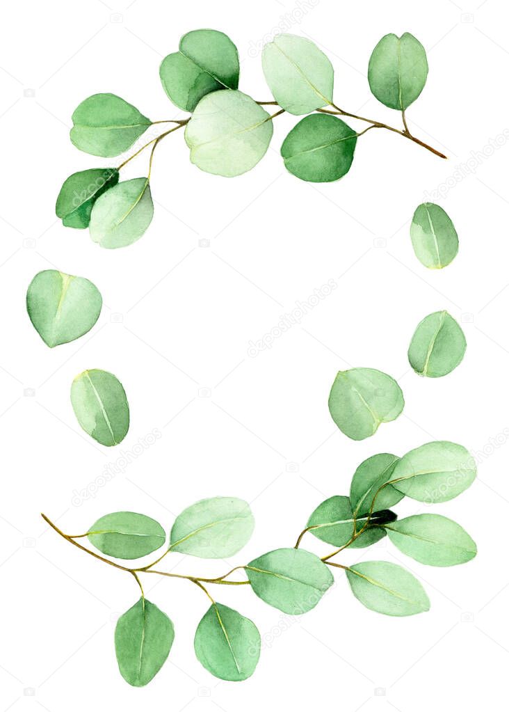 watercolor drawing set of eucalyptus leaves and branches. vintage drawing in pastel colors eucalyptus leaves isolated on white background branches and isolated leaves.