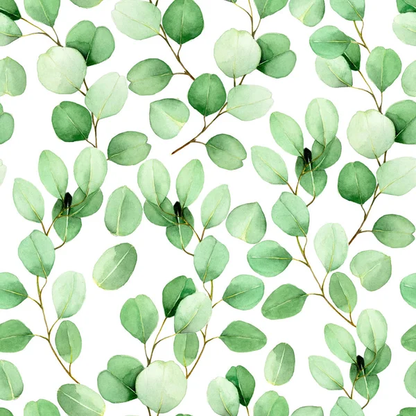 Bezszwowy Wzór Akwareli Liśćmi Eukaliptusa Białym Tle Vintage Wzór Zielonymi — Zdjęcie stockowe