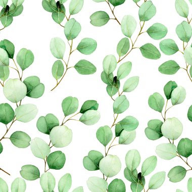 Beyaz arka planda okaliptüs yaprakları olan dikişsiz suluboya desen. Klasik çizim, yeşil okaliptüs tropikal bitki yaprakları. Düğünler, duvar kağıtları, kumaşlar, kartlar, davetiyeler için tasarım.