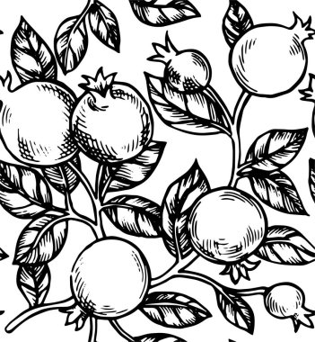 Nar meyveleri ve yapraklarla kusursuz desen. Robot resim biçiminde vektör illüstrasyonu.