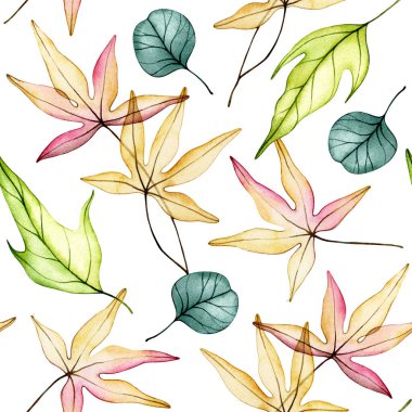 Kusursuz suluboya sonbahar yaprakları. Şeffaf çiçekler, kuru yapraklar..