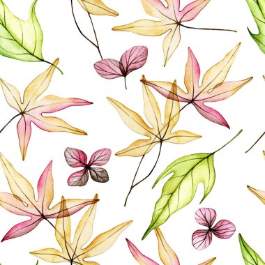 Kusursuz suluboya sonbahar yaprakları. Şeffaf çiçekler, kuru yapraklar..