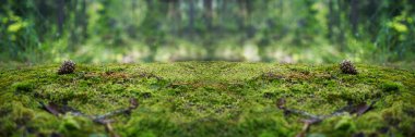 A stone covered with green moss in the forest. Wildlife landscape. Green nature banner with copy space for your design. Empty space for the product. clipart