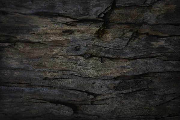 Stará Dřevěná Textura Tmavé Dřevěné Pozadí Dřevěné Grunge Pozadí — Stock fotografie