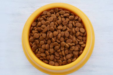 Sarı Plastik kase Beyaz ahşap zemin üzerinde köpek maması ile dolu. Evde beslenen hayvan beslenme ve bakım kavramı