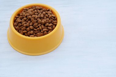 Sarı Plastik kase Beyaz ahşap zemin üzerinde köpek maması ile dolu. Evde beslenen hayvan beslenme ve bakım kavramı