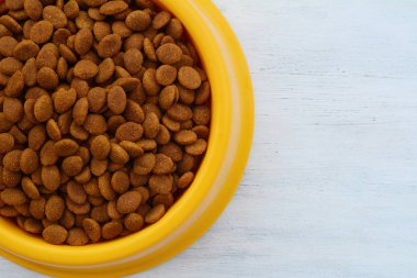 Sarı Plastik kase Beyaz ahşap zemin üzerinde köpek maması ile dolu. Evde beslenen hayvan beslenme ve bakım kavramı