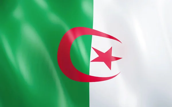 Çizim Cezayir Rüzgarda Sallayarak Bayrak — Stok fotoğraf