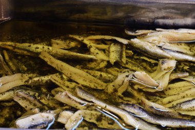 Hamsi closeup satmak içinde belgili tanımlık çarşı. Deniz ürünleri balık kavramı.