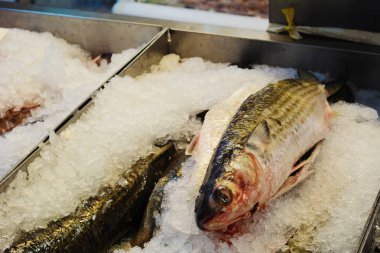 Dondurulmuş balık ve deniz ürünleri piyasada buzda. 