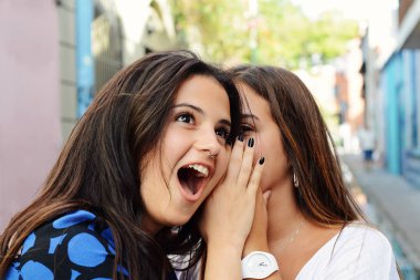 İki en iyi arkadaş hisse sırları. Dedikodu ve sırları fısıldayan genç kadın. İnsanlar ve dostluk kavramı 