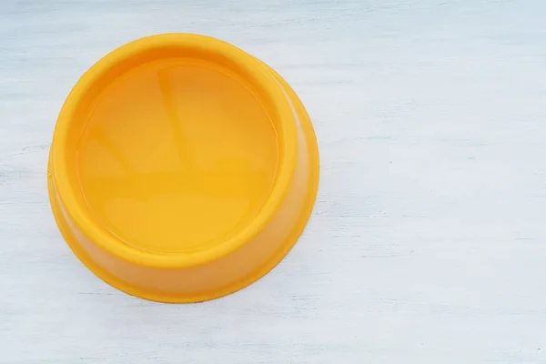 Gelbe Plastikschale Voll Wasser Auf Weißem Holzhintergrund Tierfütterungs Und Pflegekonzept — Stockfoto