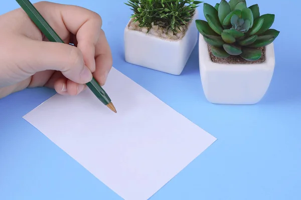 Γυναίκα Χέρια Εγγράφως Σχετικά Φύλλο Λευκό Χαρτί Πένα Ανοιχτό Μπλε — Φωτογραφία Αρχείου