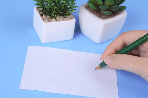 Woman Hands Writing Blank Paper Sheet Pen Light Blue Background — Stock Photo, Image