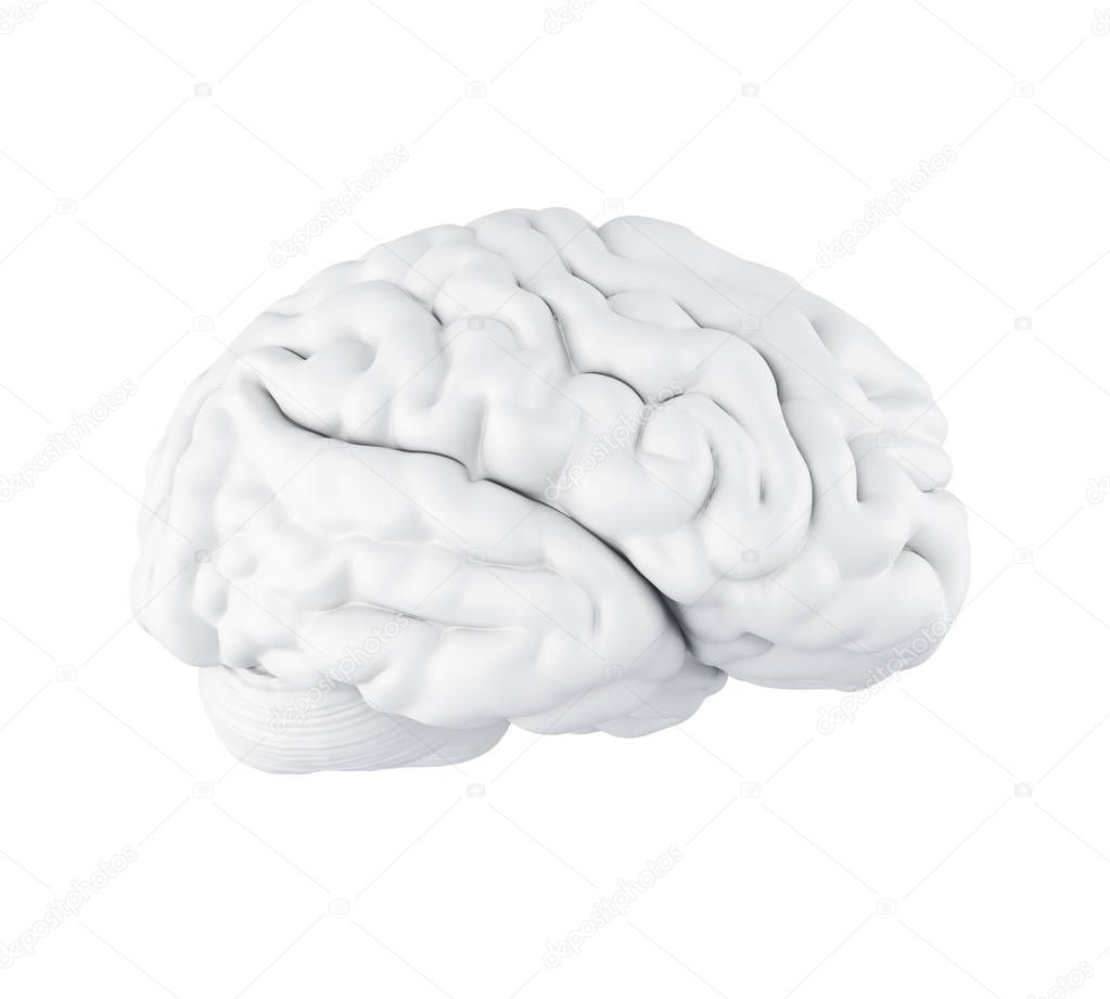 3d Human brain. 