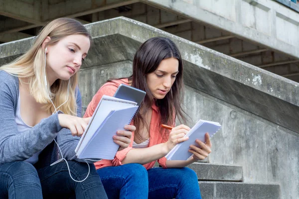 Dois estudantes universitários estudando juntos ao ar livre — Fotografia de Stock