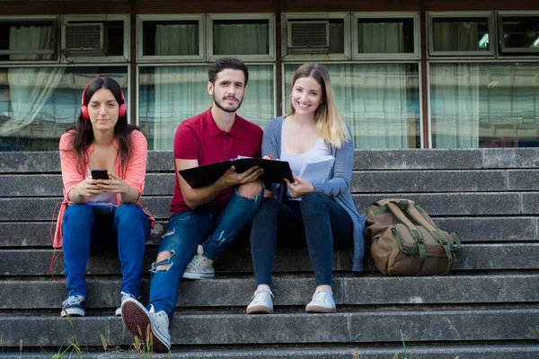 Grupo de estudiantes universitarios que estudian juntos al aire libre —  Fotos de Stock