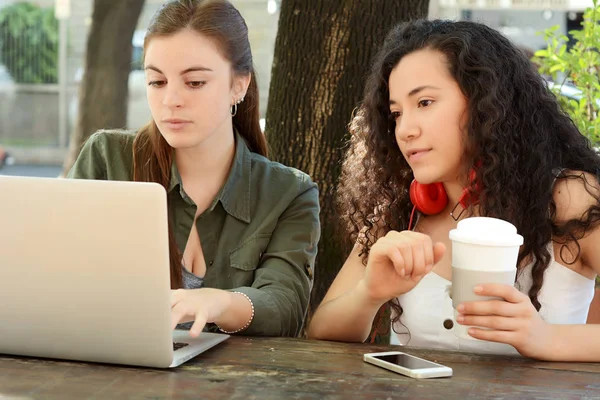 Female friends studying with a laptop in a coffee shop.
