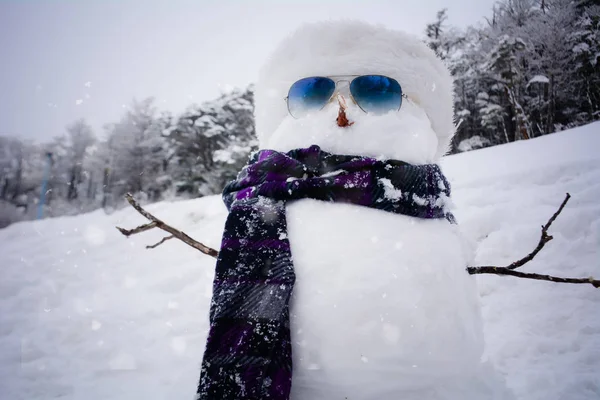 Muñeco de nieve con gorra y bufanda en invierno . — Foto de Stock