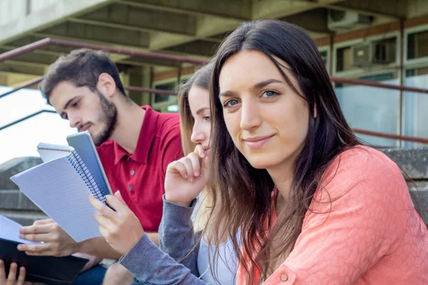 Grupo de estudiantes universitarios que estudian juntos al aire libre —  Fotos de Stock