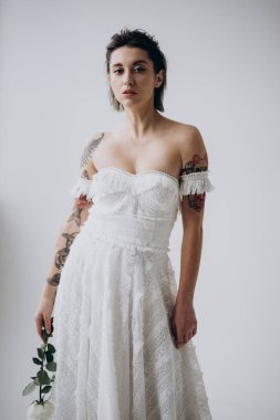 ışık arka plan üzerinde kameraya bakan ve elinde gül çiçek tutan kadın portresi 