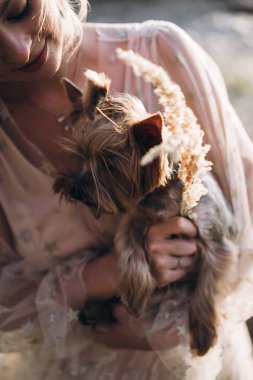 yorkshire terrier açık havada tutan kadın yakın çekim  