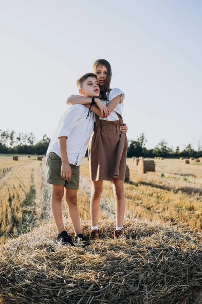 Bruder Und Schwester Stehen Auf Dem Strohballen Auf Dem Feld — Stockfoto