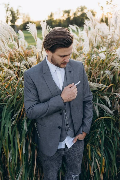 handsome man in gray suit posing against uruguayan pampas grass background