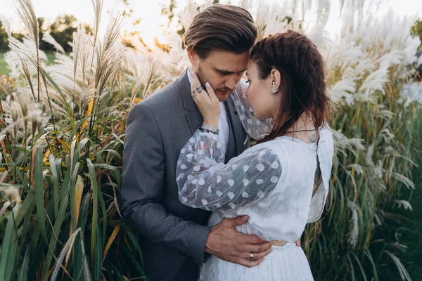 Mooie Paar Knuffelen Staande Face Face Uruguayaanse Pampas Gras Achtergrond — Stockfoto