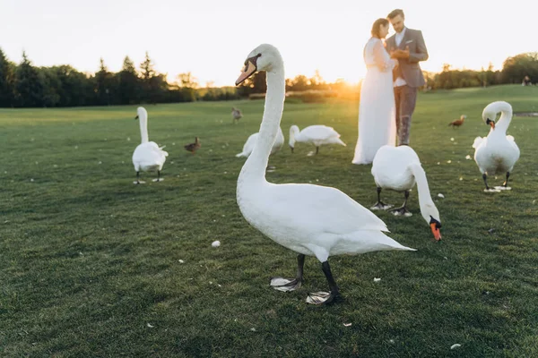 Bela Mulher Grávida Vestido Branco Com Homem Bonito Cara Cara — Fotografia de Stock