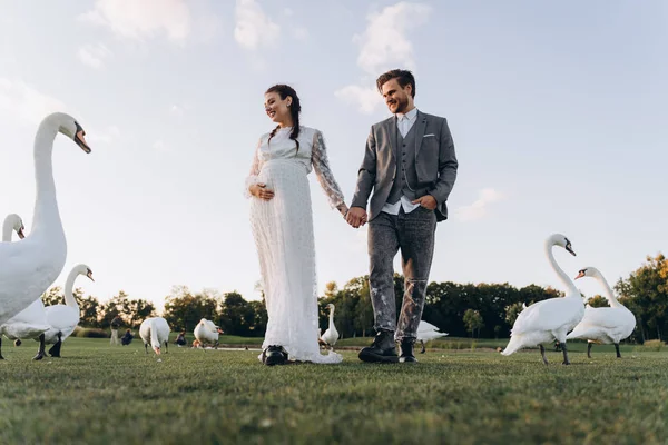 白いドレスを着た美しい妊婦は 夕方に白い白鳥とアヒルの隣の緑の芝生で歩き 手をつないで歩いている — ストック写真