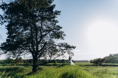 Beyaz elbiseli bir kadının ağaçlı çayırda dikilirkenki görüntüsü. 