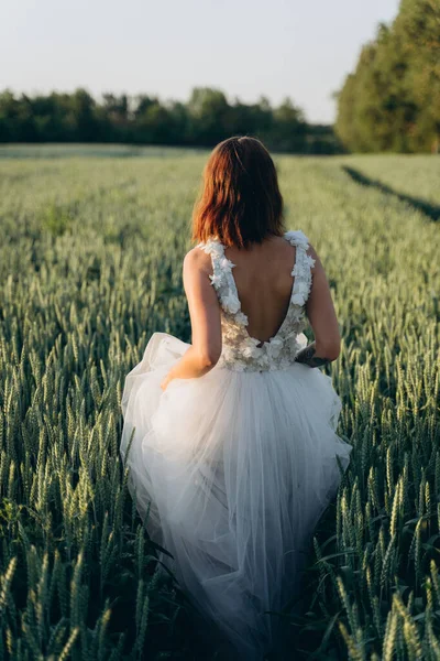 Tarlada Duran Uzun Beyaz Elbiseli Çekici Genç Bir Kadının Arka — Stok fotoğraf