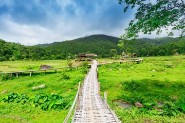 Bambu köprü Boon Ko Ku So Pai at; Tayland
