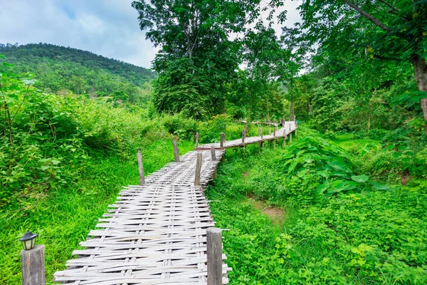 Ponte de bambu Boon Ko Ku So at Pai; Tailândia Imagens Royalty-Free