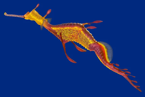 Çelimsiz bir seadragon, okyanus yaratık Austral, 3D render