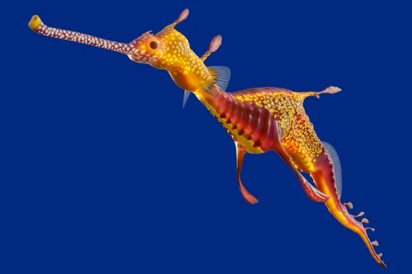 Çelimsiz bir seadragon, okyanus yaratık Austral, 3D render
