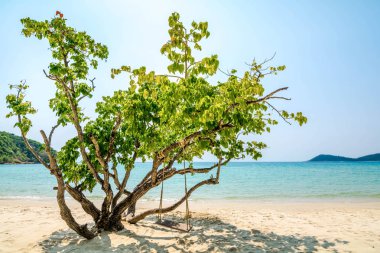 Samet Island, Rayong, Tayland beyaz kum plaj üzerinde ağaçların altında salıncaklar.