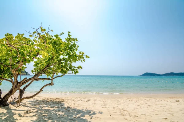 Samet Island, Rayong, Tayland beyaz kum plaj üzerinde ağaçların altında salıncaklar.