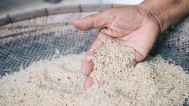 El Seç Paddy tahıl kahverengi pirinç dışarı kullanın.